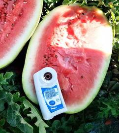 最新瓜爆料网红,揭秘背后惊人真相！